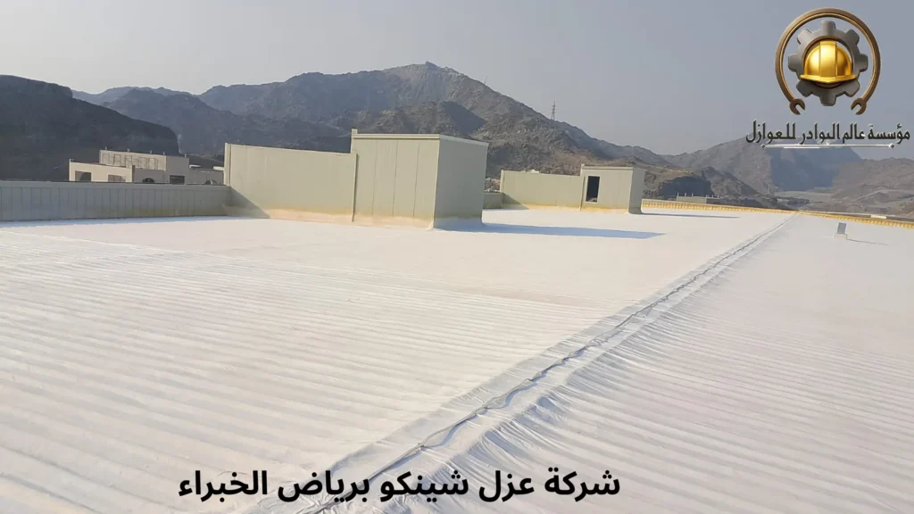 شركة عزل شينكو برياض الخبراء